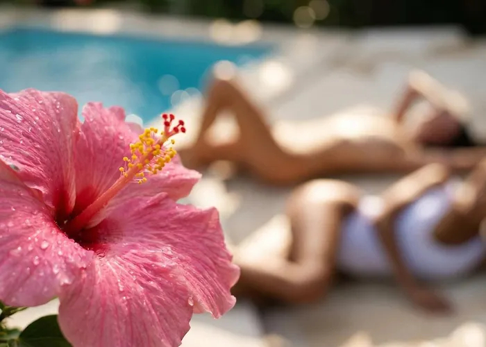 Villa La Bohemia - 2br Riverside With Two-tiered Waterfall Pool Fast Wi-fi *